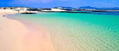 Camastros y toallas de playa