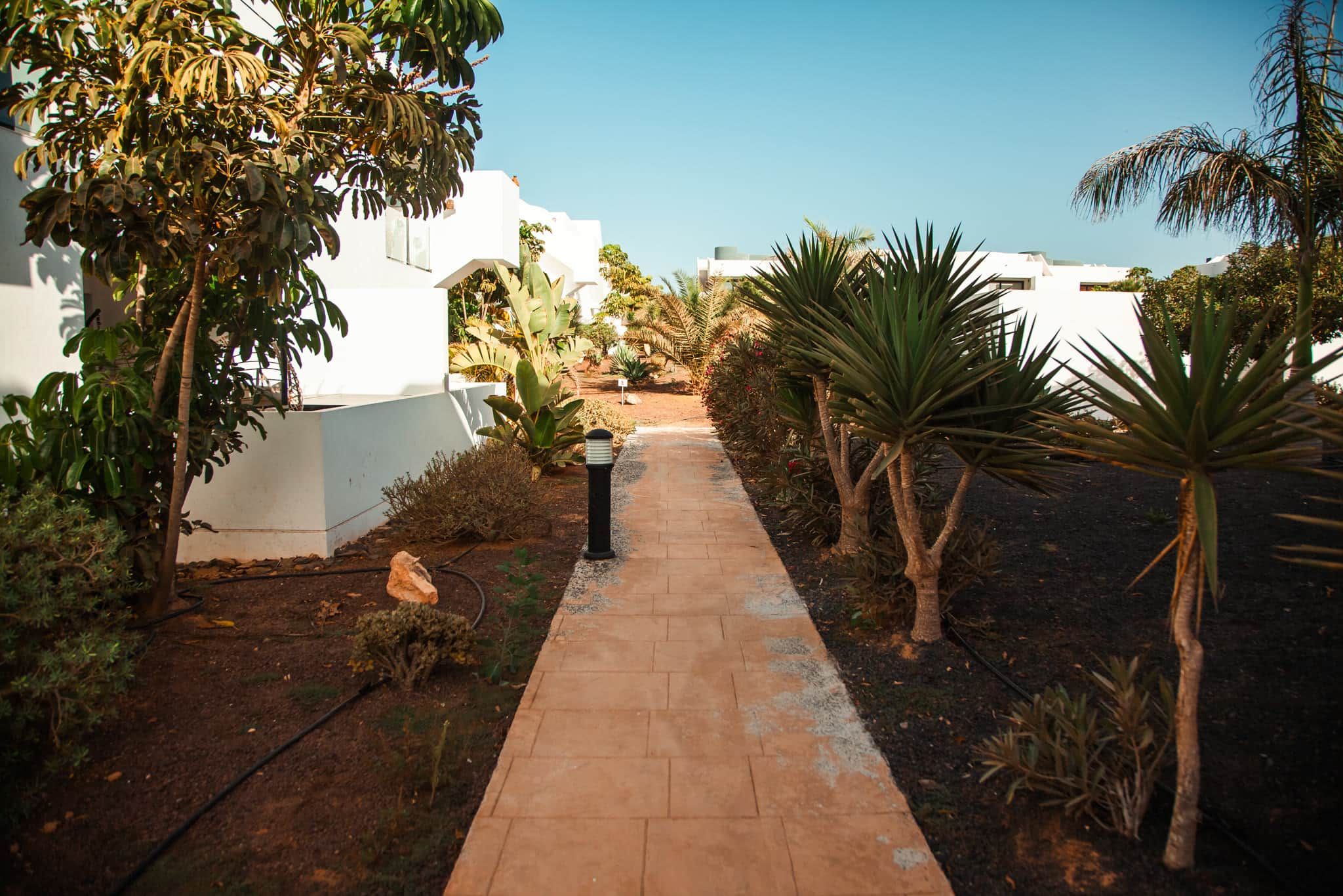 Un sendero pavimentado que atraviesa un área ajardinada con diversas plantas y un edificio blanco al fondo.