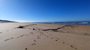 A sandy beach with footprints and a fallen tree branch. - Villa 230 M2 With Garden  Lac De Léon And Ocean (Léon)