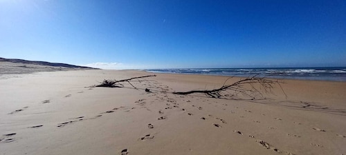 Maison De 230 M2 Proche Lac De Léon Et Océan