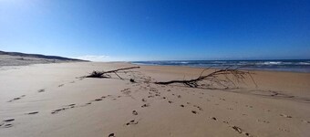 Villa 230 M2 With Garden  Lac De Léon And Ocean