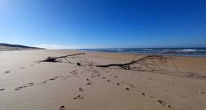 Villa 230 M2 With Garden Lac De Léon And Ocean