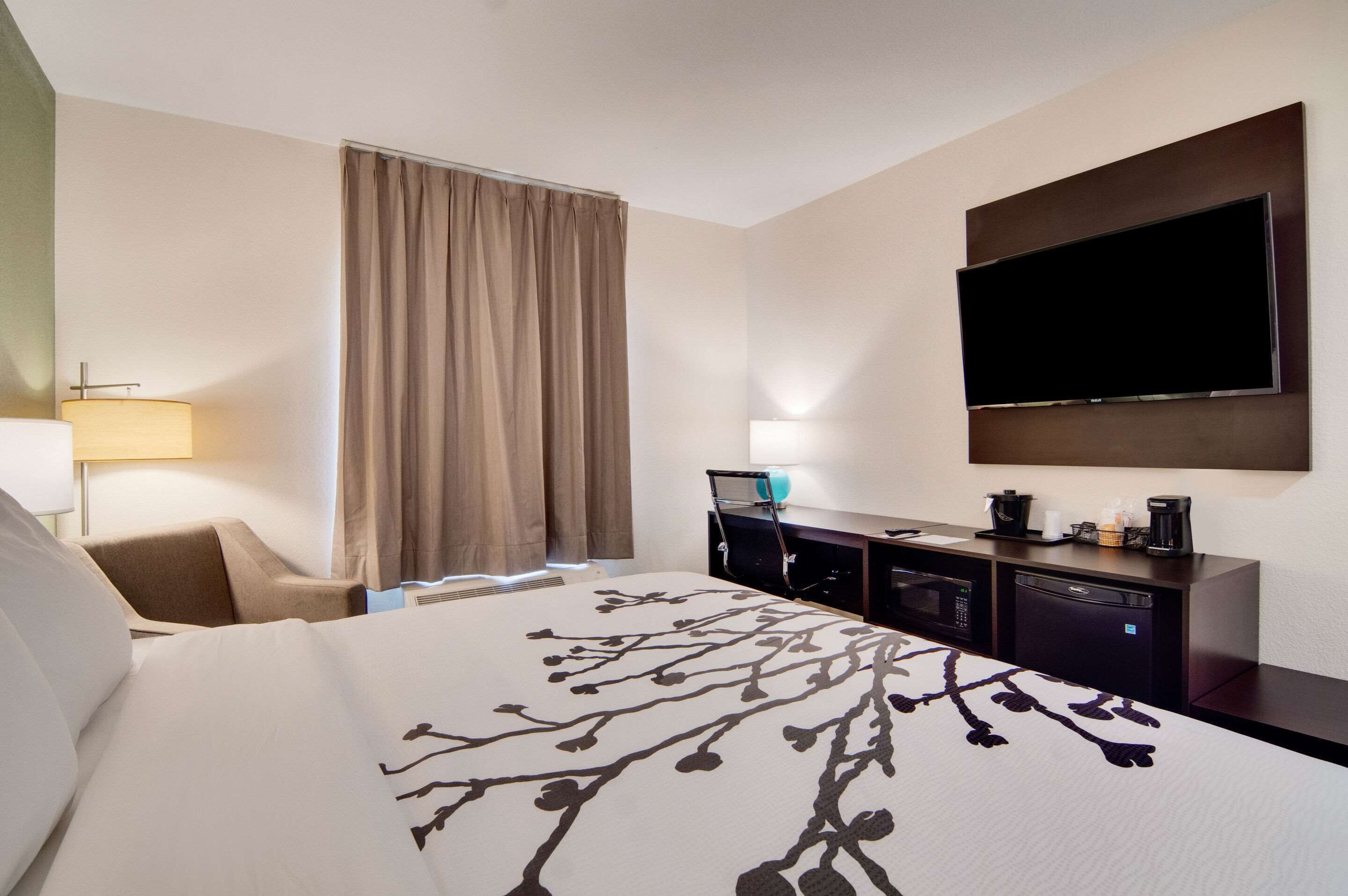 standard room, 1 king bed, non smoking | minibar, desk, free wifi, bed sheets
