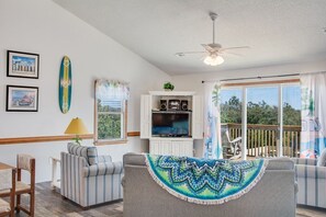 电视、DVD 播放器