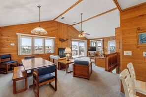 电视、DVD 播放器