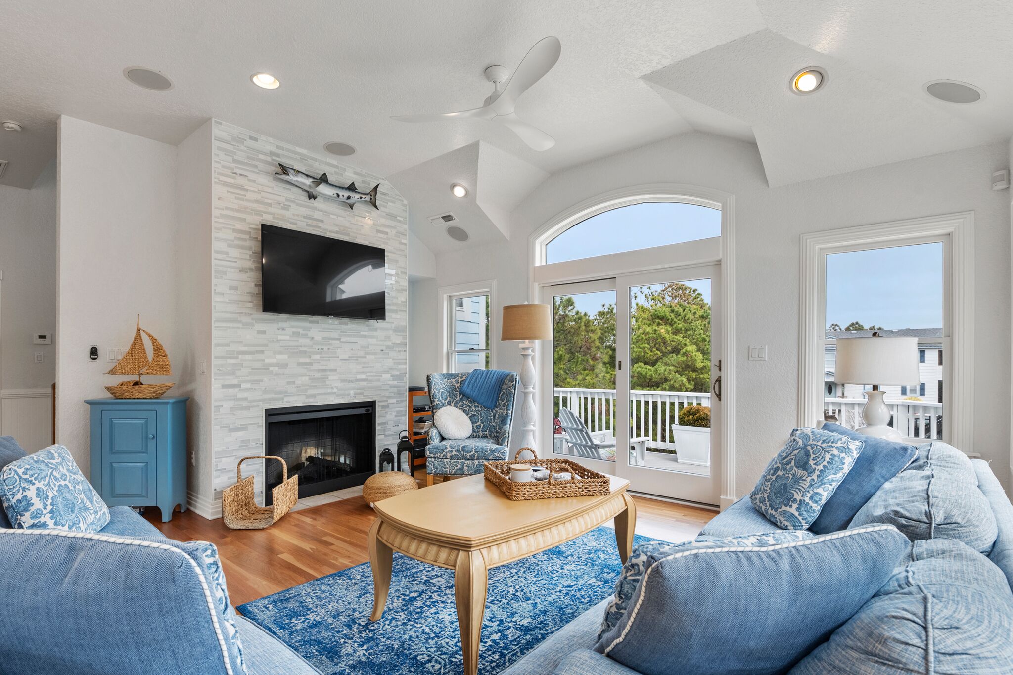 电视、壁炉、DVD 播放器