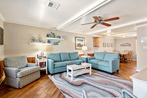 电视、DVD 播放器