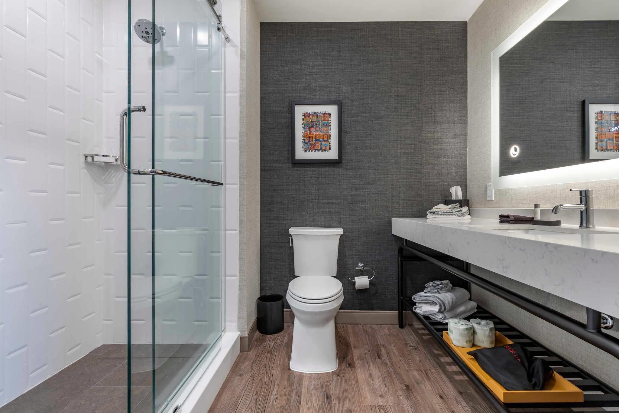 A modern bathroom with a glass shower enclosure, a white toilet, and a vanity with a mirror.