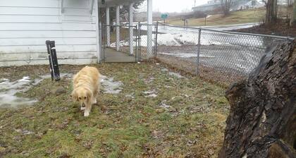 1200 sq ft 1min drive China lake