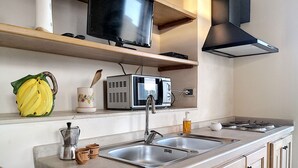 Une cuisine moderne dotée d’un évier à deux bacs, d’appareils électroménagers en acier inoxydable, d’un four à micro-ondes et d’un téléviseur à écran plat fixé au-dessus du plan de travail.