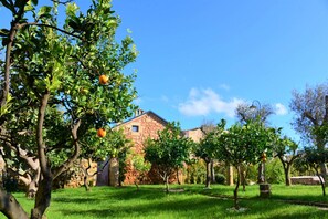 Property grounds - Studio with large pool in the picturesque town of Patù (F) (Patù)