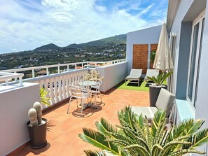 A terrace with a table and chairs, a potted plant, and a view of a hillside.