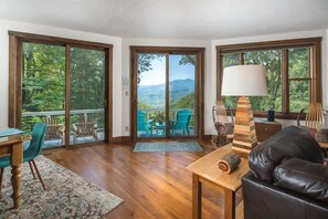 TV, fireplace, books