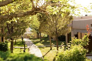Stroll through the serene courtyard surrounded by lush trees and shrubs, along a well-maintained pathway.