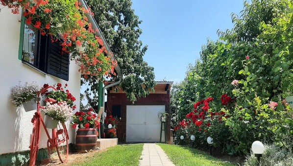 Apartment (Two Bedroom Apartment with Terrace) | Exterior - Apartment Amigo (Durdevac)