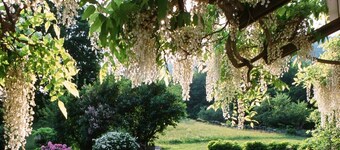 Exceptional Property, Saline Pool, Waterfall, Views