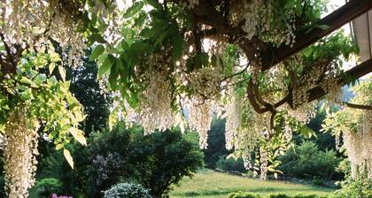 Exceptional Property, Saline Pool, Waterfall, Views