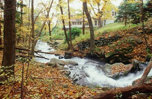 Property grounds - Exceptional Property, Saline Pool, Waterfall, Views (Woodstock)