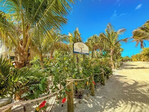 A sign for Blue Mango on a sandy path surrounded by lush greenery and palm trees. - BLUE MANGO: Tropical Seclusion Steps from the Beach (Captiva)