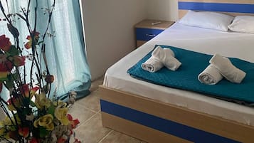 Basic Double or Twin Room