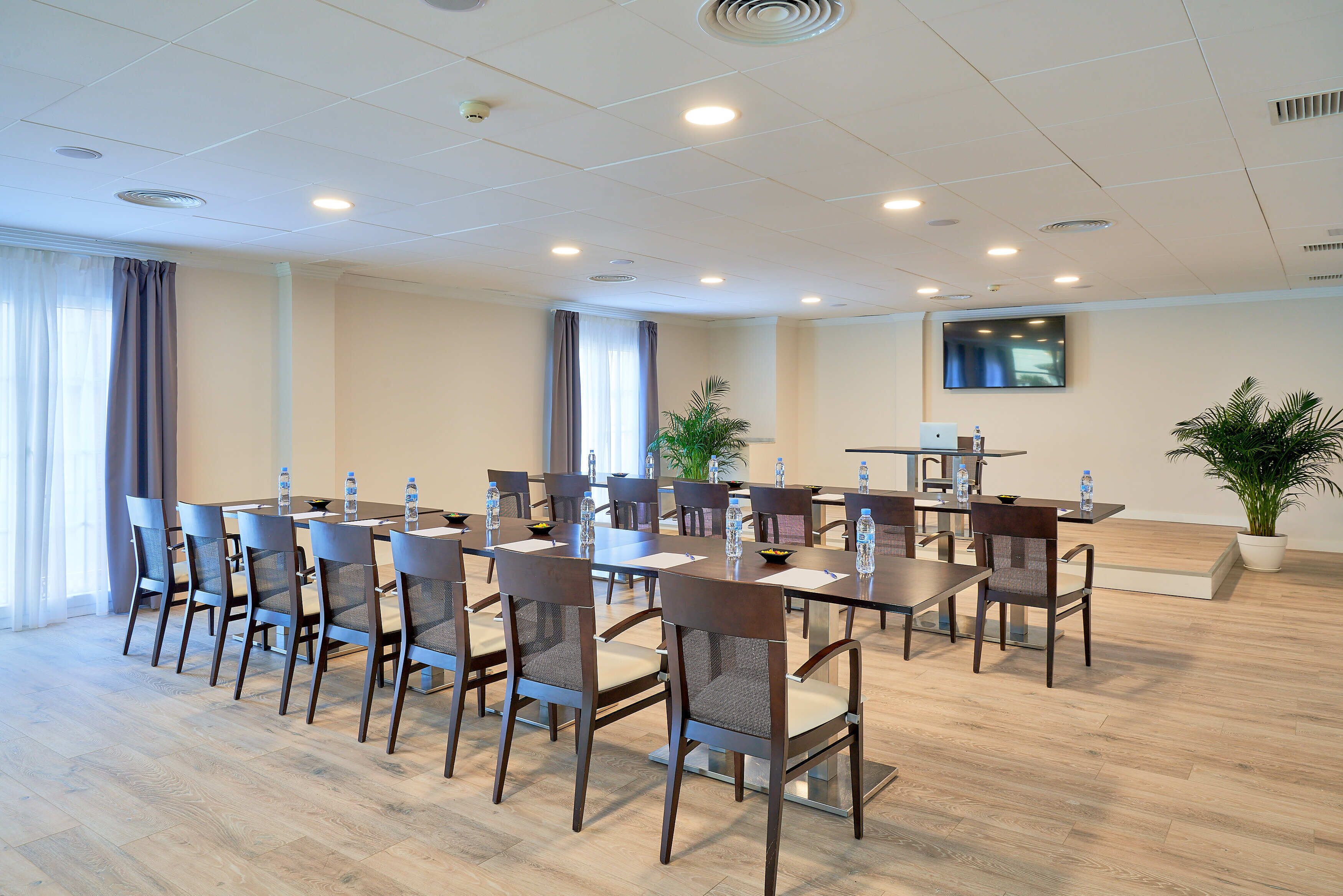 A conference room with a long table, chairs, a TV screen, and potted plants.