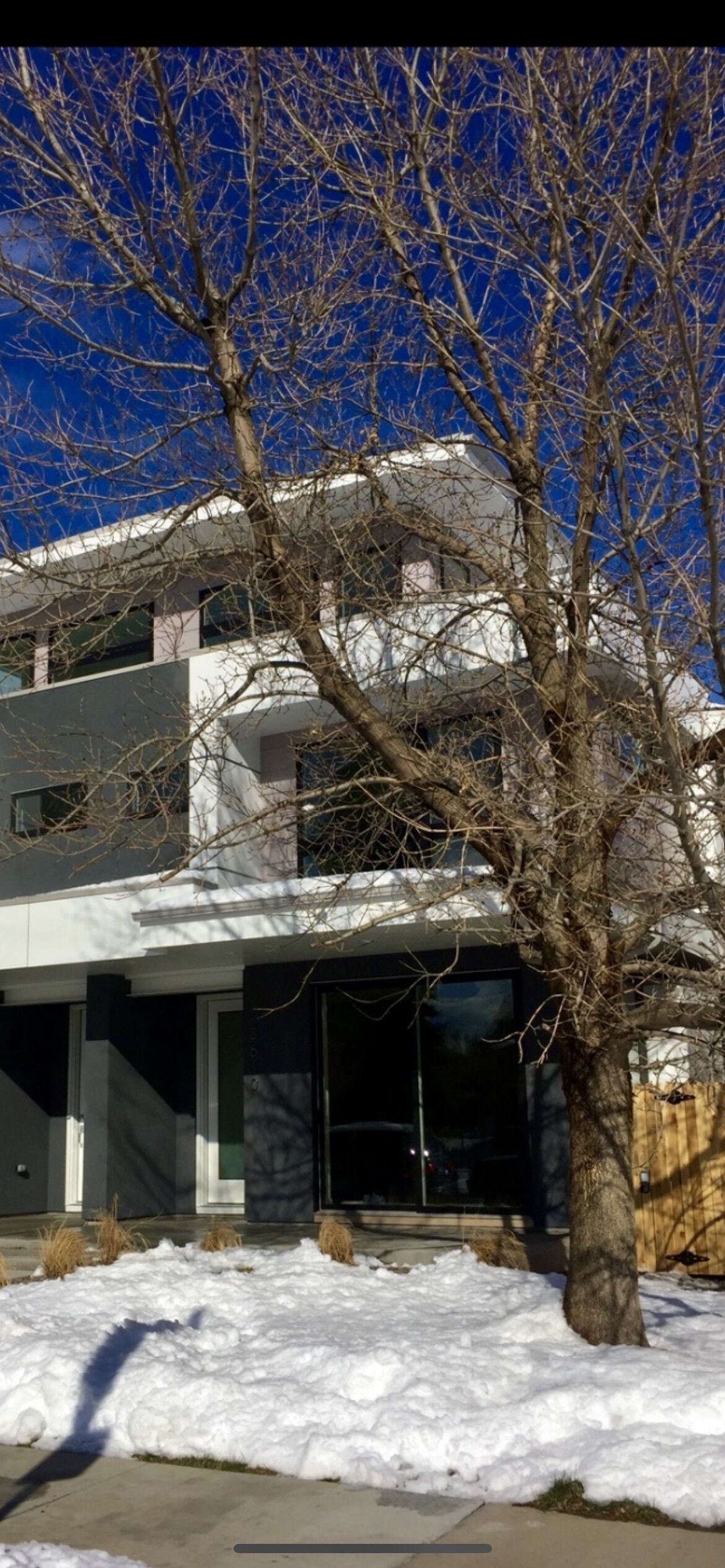 Modern, spacious and sunny 4 story home in north Denver