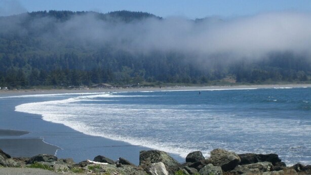 A coastal landscape with a rocky shoreline, waves, and a forested hill in the background. - Charming home on the Cliffs of Crescent City (Crescent City)