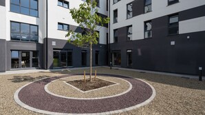 Un cortile con un albero centrale, circondato da un vialetto ghiaioso e un motivo circolare.