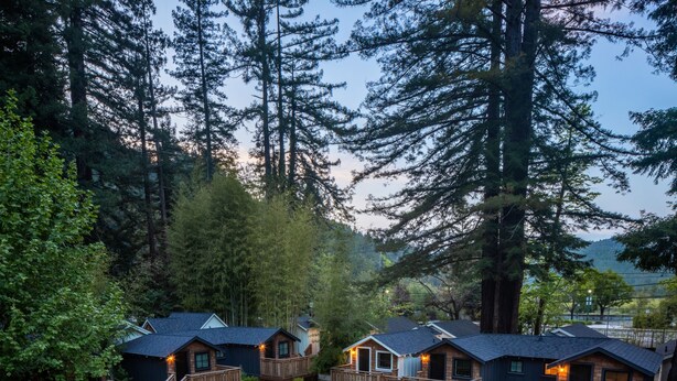 A row of cabins with wooden decks and a grassy yard, surrounded by tall trees.