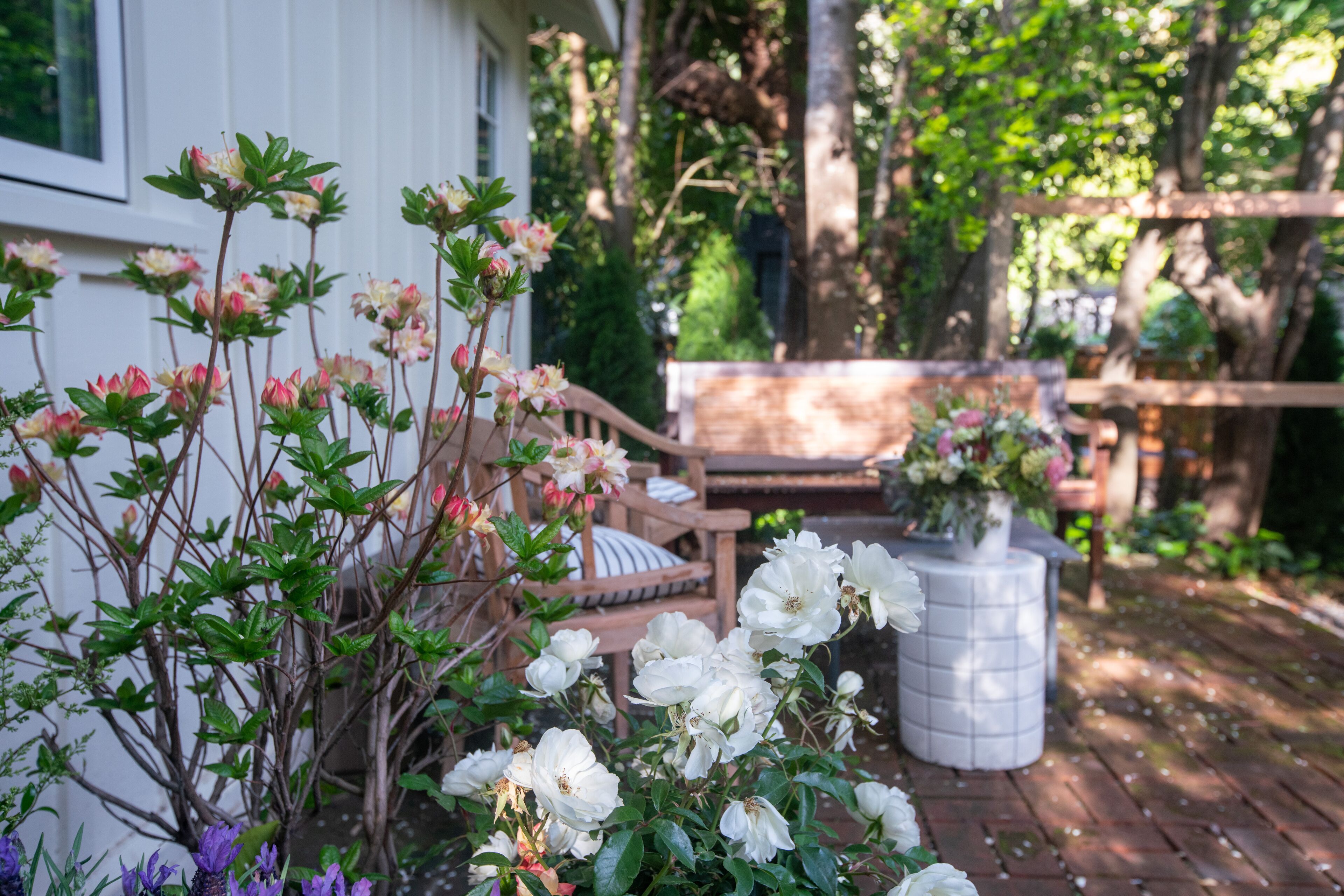 Un giardino con fiori bianchi, una panchina in legno e un vaso bianco.