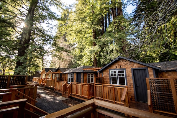 Superior Cabin, 1 Queen Bed | Frette Italian sheets, premium bedding, down duvets, memory-foam beds