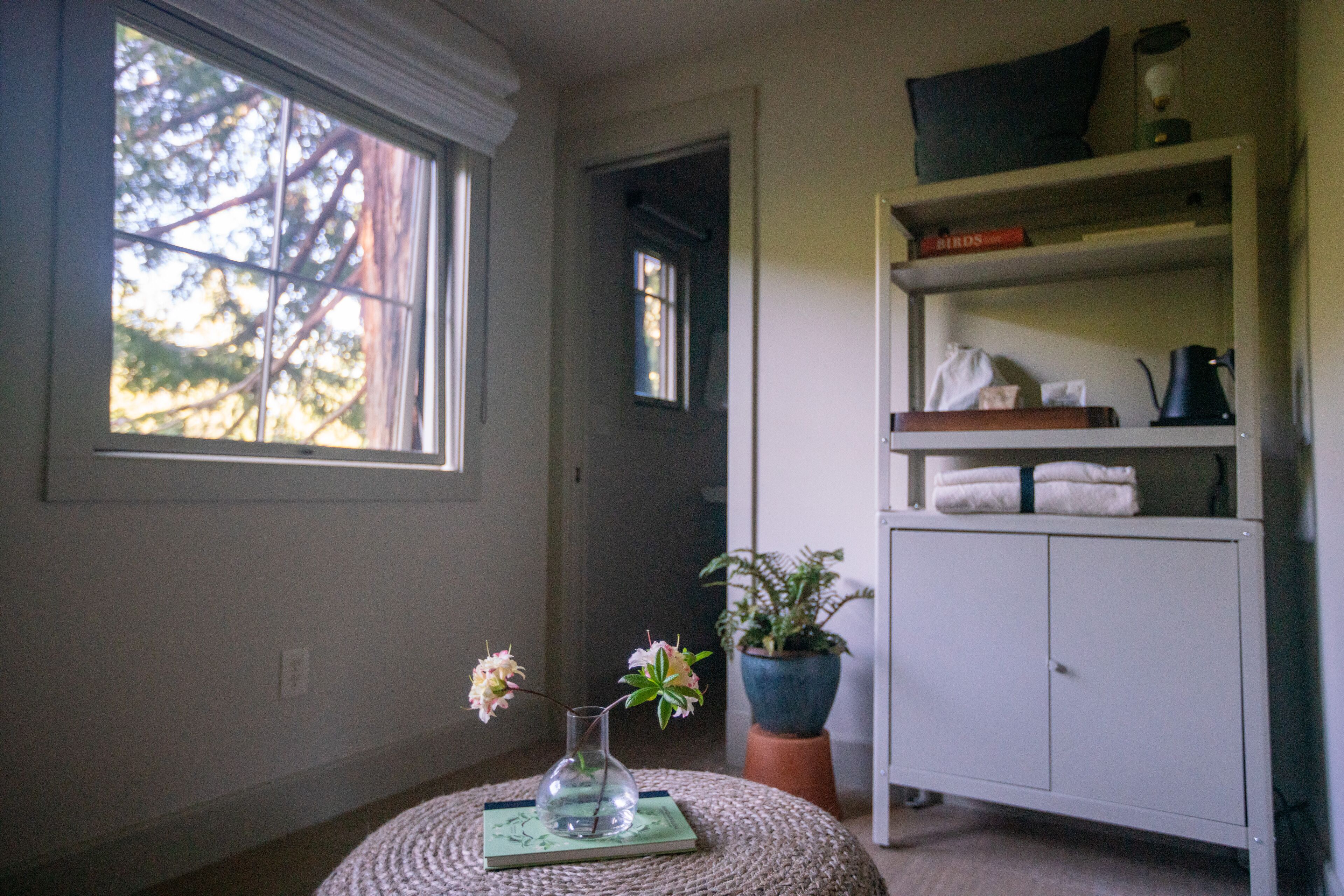 Quarto com uma janela grande, uma planta em vaso, um vaso com flores, uma estante com livros e toalhas, e um armário.