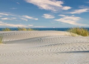 A sandy landscape with undulating dunes and sparse vegetation. - My Wangerooge - a cozy vacation apartment near the beach (Wangerooge)