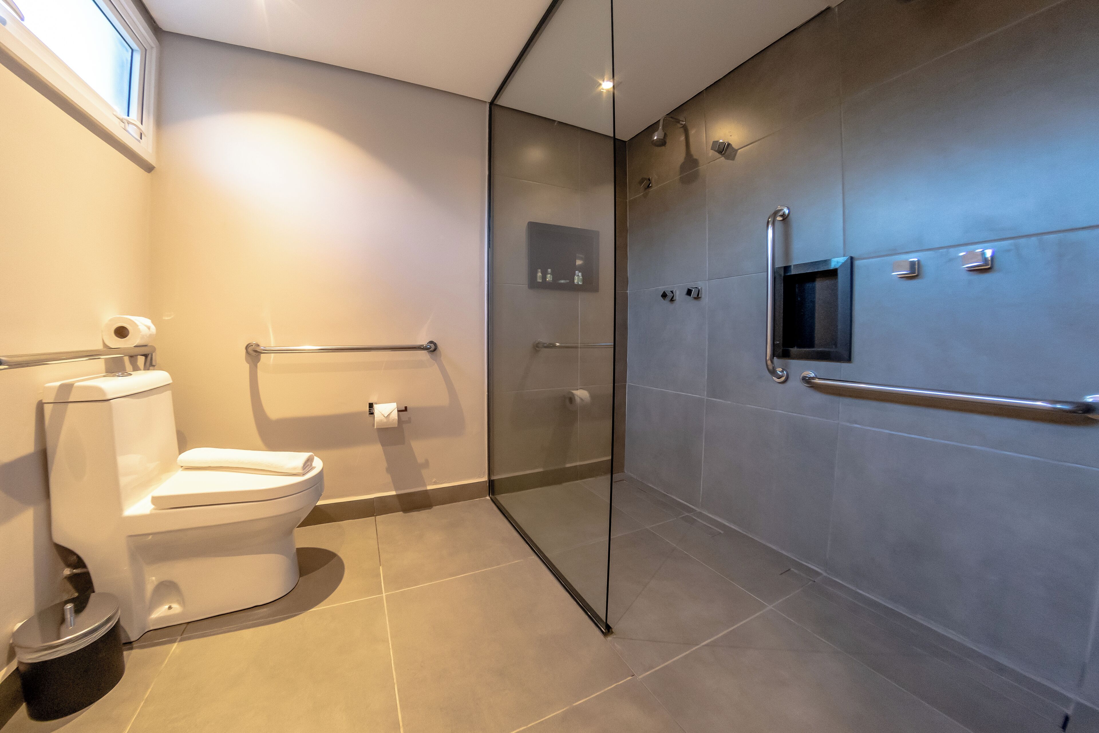 A modern bathroom with a toilet, glass shower enclosure, and a handrail.
