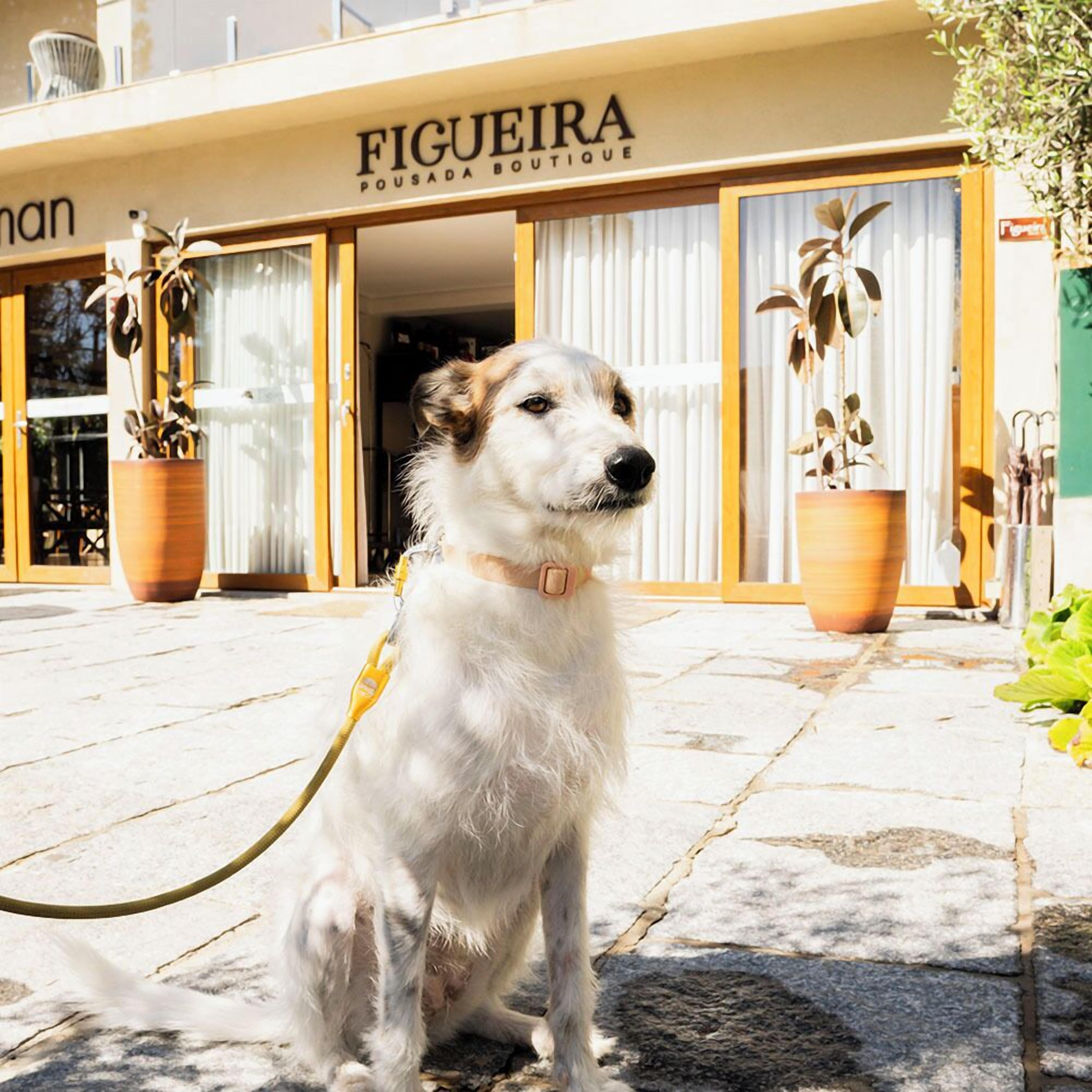 Photo - Pousada Boutique Figueira da Serra