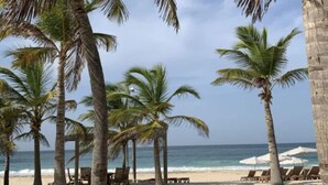Ein Strand mit Palmen und Liegestühlen.