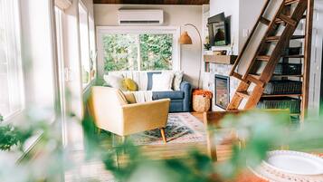Smart TV, fireplace, DVD player, books