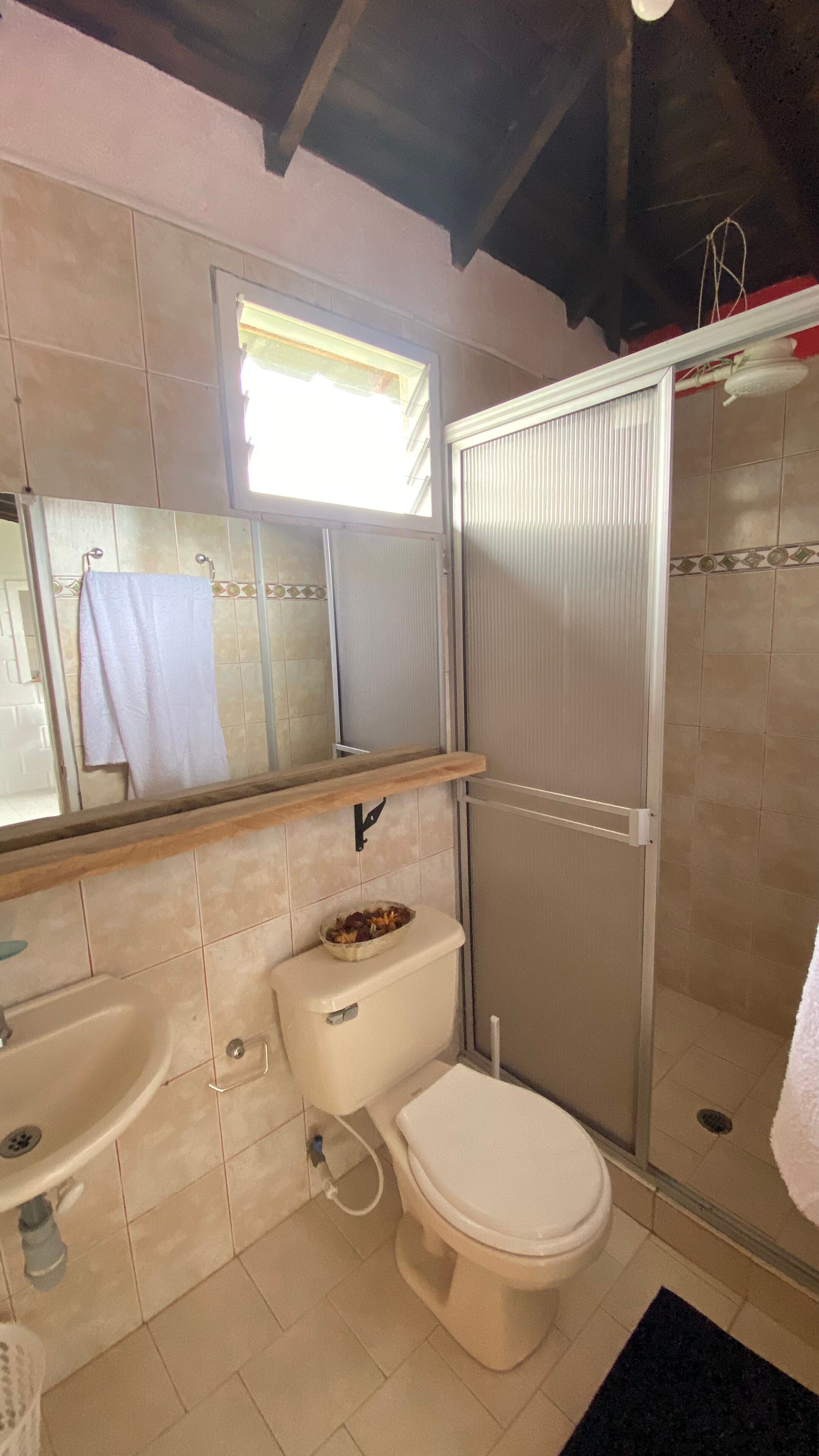 Shower, towels, soap, toilet paper