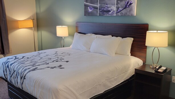 A hotel room with a large bed, two bedside lamps, a nightstand with a phone, and a wall art piece above the bed. - Sleep Inn & Suites - Coliseum Area (Greensboro)