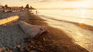 A beach with a large log in the foreground, a sandy shore, and a calm sea. - Luxury Alki Beach Townhome w/ Large Private Rooftop & Amazing Views! (Seattle)