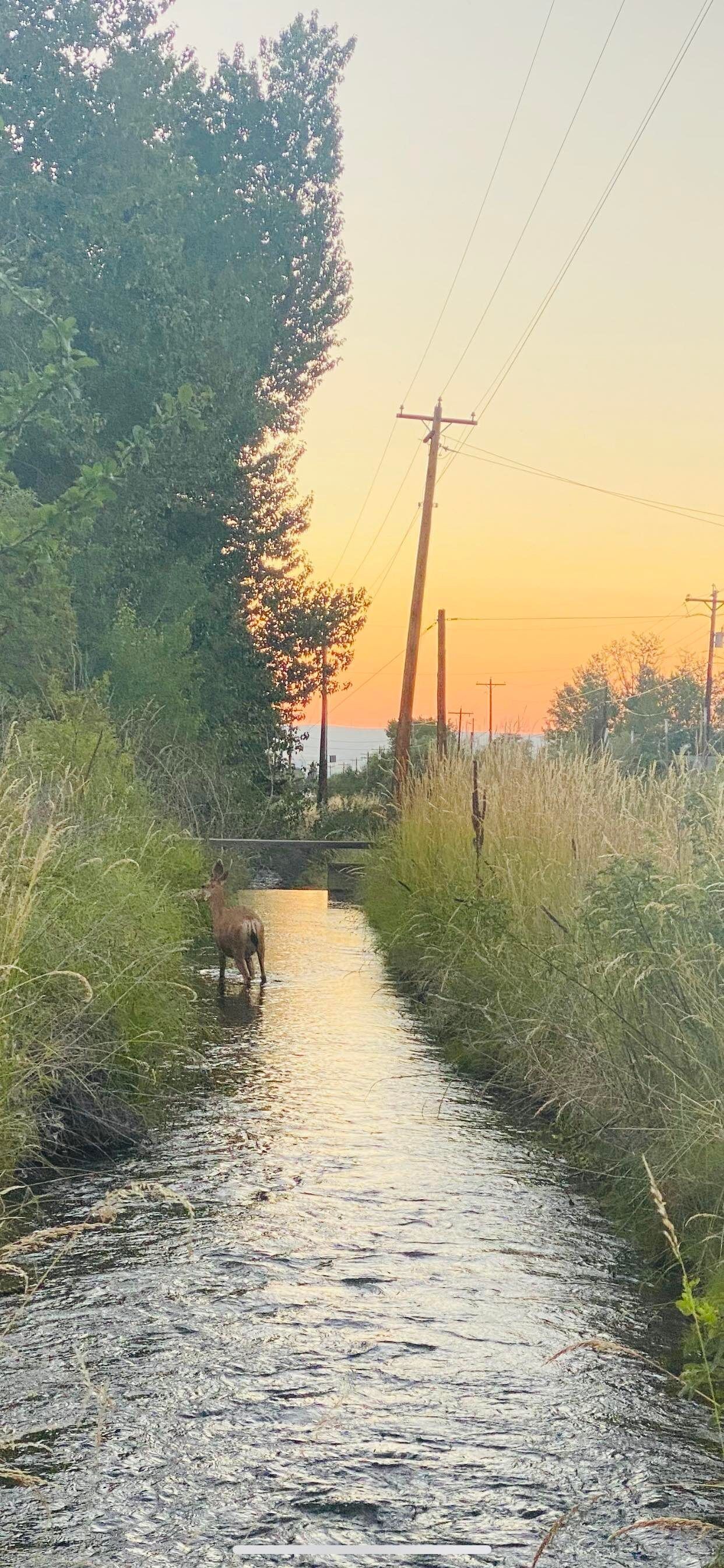 Tranquil Retreat Serene Rural Setting Pet Friendly