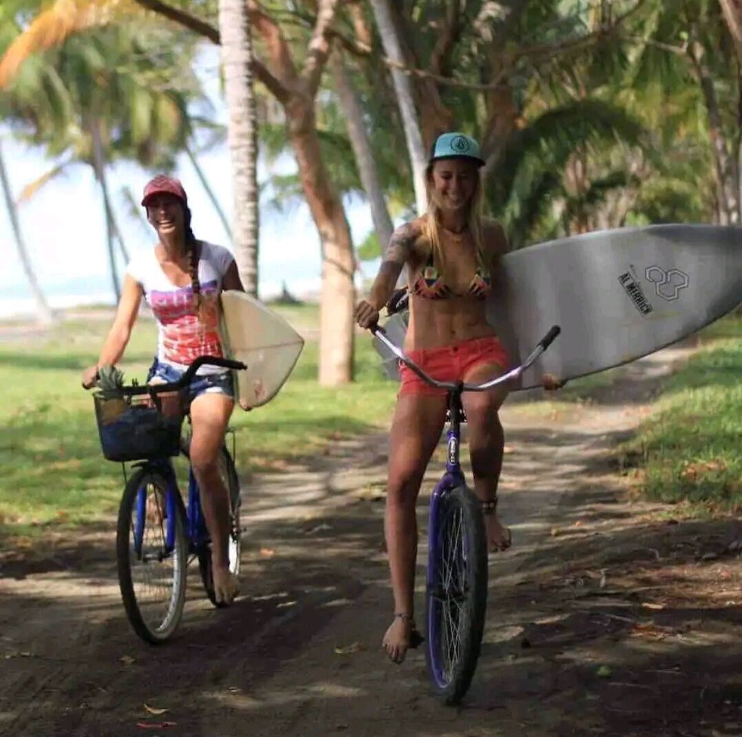 Two people riding bicycles on a path with palm trees in the background.
