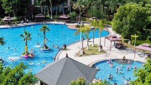 A large outdoor swimming pool surrounded by palm trees and covered areas, with people swimming and relaxing.