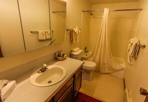 Combined shower/bathtub, hair dryer, towels, soap