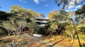 A two-story building surrounded by dense trees and a stone pathway. - Absolute lake front - lie in bed & listen to the fish jump! (Green Point)
