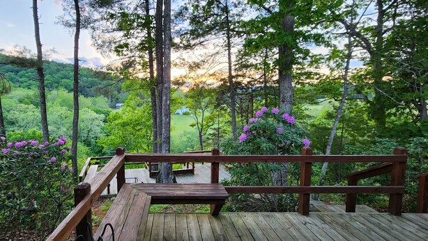 Une terrasse en bois avec un banc, entourée d’une végétation luxuriante et d’arbres.