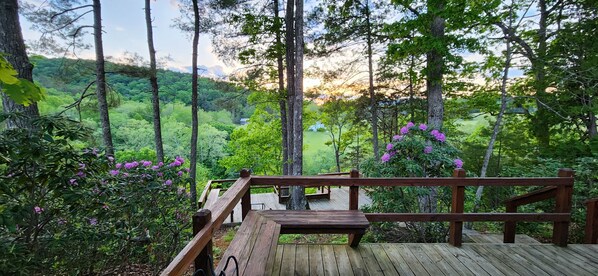 Terrace/patio - River's Bend Cabin Offers Solitude and Play on the Upper James River (Eagle Rock)