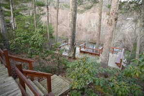 Property grounds - River's Bend Cabin Offers Solitude and Play on the Upper James River (Eagle Rock)