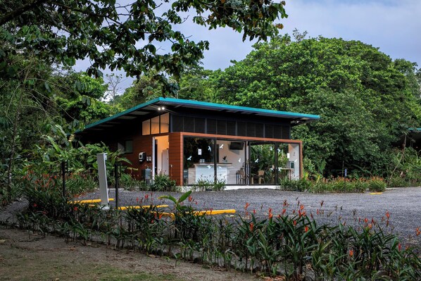 A modern building with a green roof, surrounded by lush greenery and a gravel path.