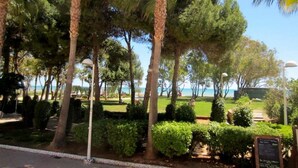 A landscaped area with palm trees, a pathway, and a view of the sea. - AP Costas - Marina Mar Marina D'or / Two Bedrooms (Oropesa)